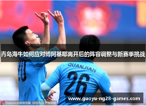 青岛海牛如何应对博阿基耶离开后的阵容调整与新赛季挑战 青岛海牛如何应对博阿基耶离开后的阵容调整与新赛季挑战