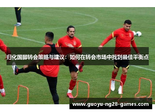归化国脚转会策略与建议:如何在转会市场中找到最佳平衡点 归化国脚转会策略与建议:如何在转会市场中找到最佳平衡点
