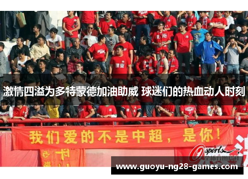 激情四溢为多特蒙德加油助威 球迷们的热血动人时刻