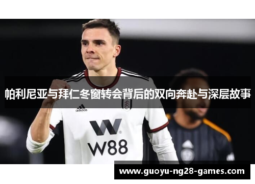 帕利尼亚与拜仁冬窗转会背后的双向奔赴与深层故事 帕利尼亚与拜仁冬窗转会背后的双向奔赴与深层故事