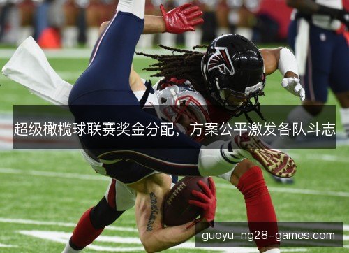 超级橄榄球联赛奖金分配，方案公平激发各队斗志